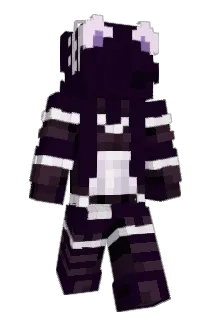 BraydenZinsli Minecraft avatar full body