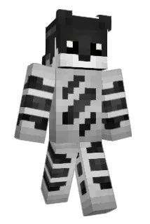 BraynerAntunes Minecraft avatar full body