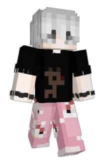 BrdBb Minecraft avatar full body