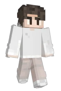 Bredw1n Minecraft avatar full body