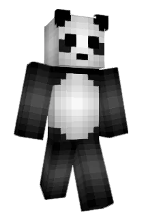 Brelqnn Minecraft avatar full body