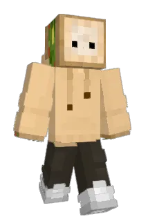 Bress318 Minecraft avatar full body