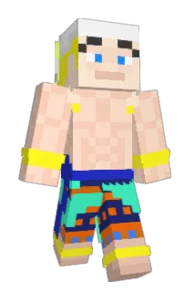 Bretterbrecher Minecraft avatar full body