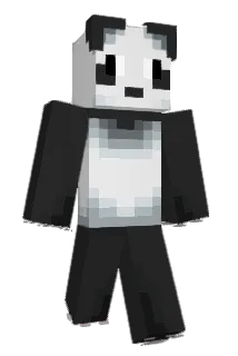 Brettray713 Minecraft avatar full body