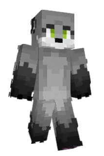 Brheniero Minecraft avatar full body