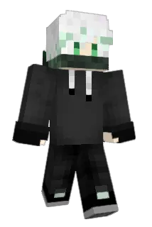 Bri118 Minecraft avatar full body