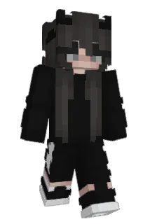 Briandaagg Minecraft avatar full body