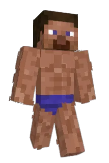 Brickz8 Minecraft avatar full body