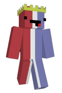 Bridge290 Minecraft avatar full body