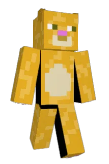 BriePak Minecraft avatar full body