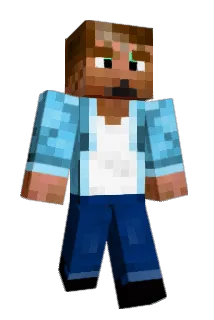 Briidelight Minecraft avatar full body