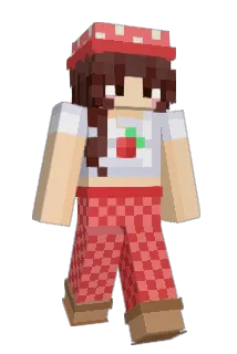 Brillianni Minecraft avatar full body