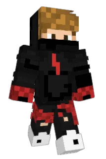 Brinkin29 Minecraft avatar full body