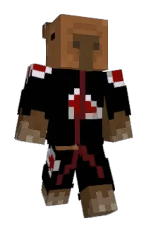 BrissK Minecraft avatar full body