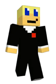 Brizeewizee Minecraft avatar full body