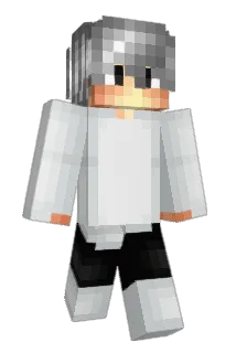 Brizzers31_DST_ Minecraft avatar full body