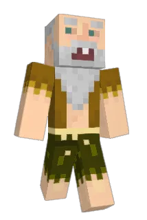 Brizzly_ Minecraft avatar full body
