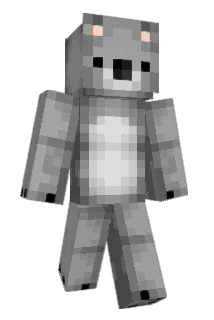 BroBjarne Minecraft avatar full body