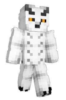 BroGamerACDC Minecraft avatar full body