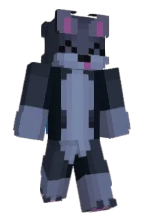 Bro_Gamer_1 Minecraft avatar full body