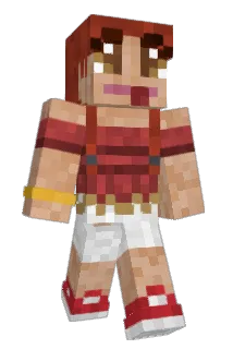 Brocante Minecraft avatar full body