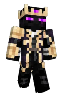 Brodbud Minecraft avatar full body