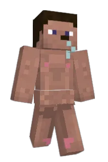 Brody148 Minecraft avatar full body