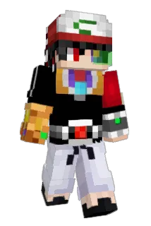 Broi Minecraft avatar full body