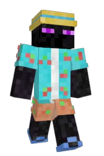 Broido Minecraft avatar full body