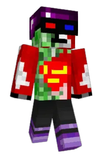 Broneg Minecraft avatar full body