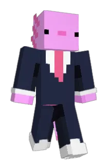 BrooklynHolly Minecraft avatar full body