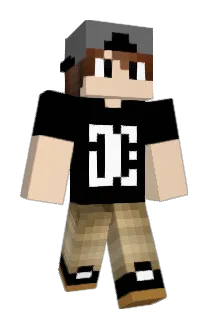 BrosAfterHoes Minecraft avatar full body