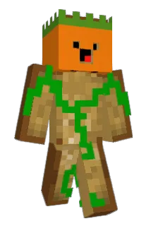 BrotTV245 Minecraft avatar full body