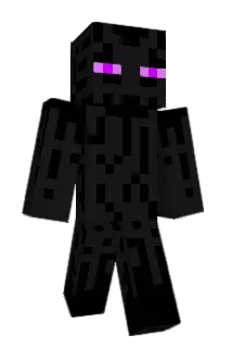 Brotnite Minecraft avatar full body