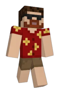 Broumire87 Minecraft avatar full body