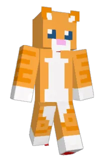 Brouse_13 Minecraft avatar full body