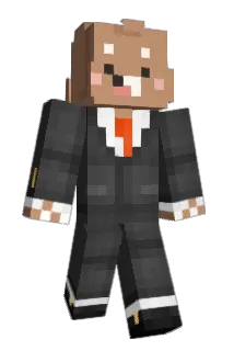 BrownBrown_ Minecraft avatar full body