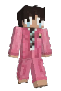 BrownieROS Minecraft avatar full body