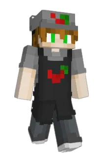 BrrHype Minecraft avatar full body