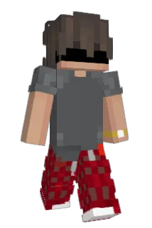 Bru______h Minecraft avatar full body