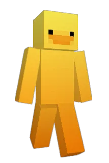 BruceLee360 Minecraft avatar full body