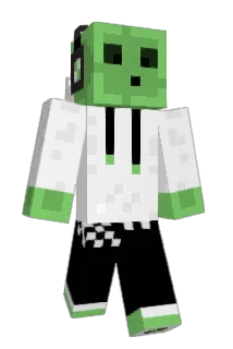 Bruczi Minecraft avatar full body
