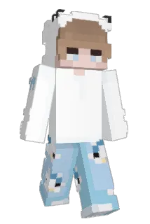 BrumNL Minecraft avatar full body