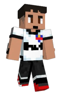 Bruniki Minecraft avatar full body