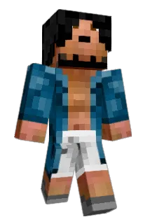 Brunky Minecraft avatar full body