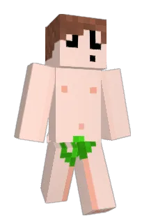 BrunoBot14 Minecraft avatar full body