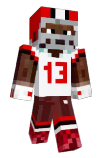 Bruz1314 Minecraft avatar full body
