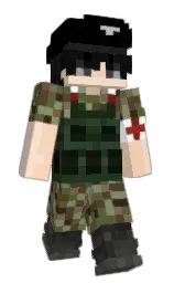 Custom render preview