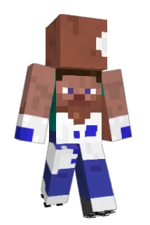 BryGuyBG Minecraft avatar full body