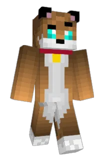 Bryanlucas1 Minecraft avatar full body